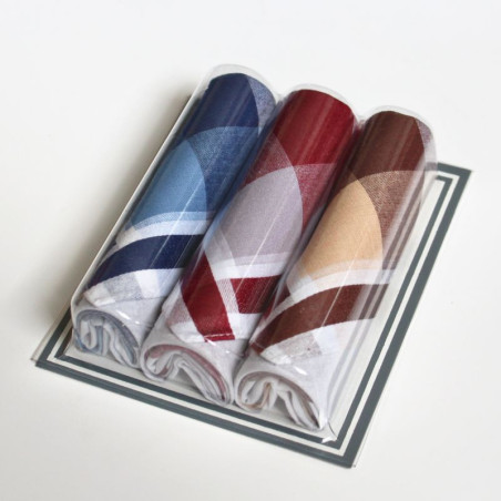 Mini balení 3 kusů pánských bavlněných kapesníků | Mojeponozky.cz