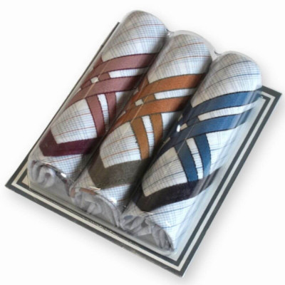 Výhodná sada 2 balení pánských kapesníků VLNKY II | Mojeponozky.cz