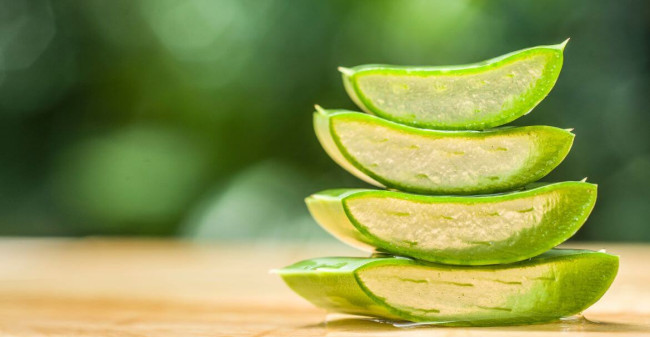 Aloe vera: síla přírody, která pečuje o vaši pokožku