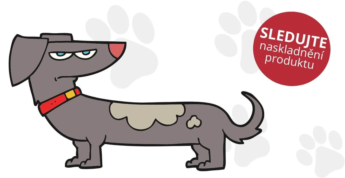 Hlídací pes - novinka na našem e-shopu