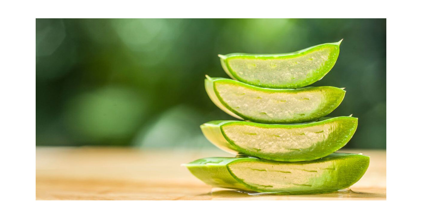 Aloe vera: síla přírody, která pečuje o vaši pokožku